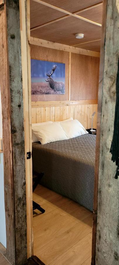 Motel Du Haut Phare Cap-des-Rosiers 외부 사진